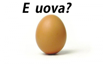 uovo